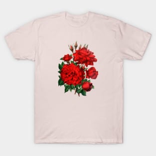 Red Roses Illustration T-Shirt